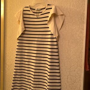 Zara brand name knit dress